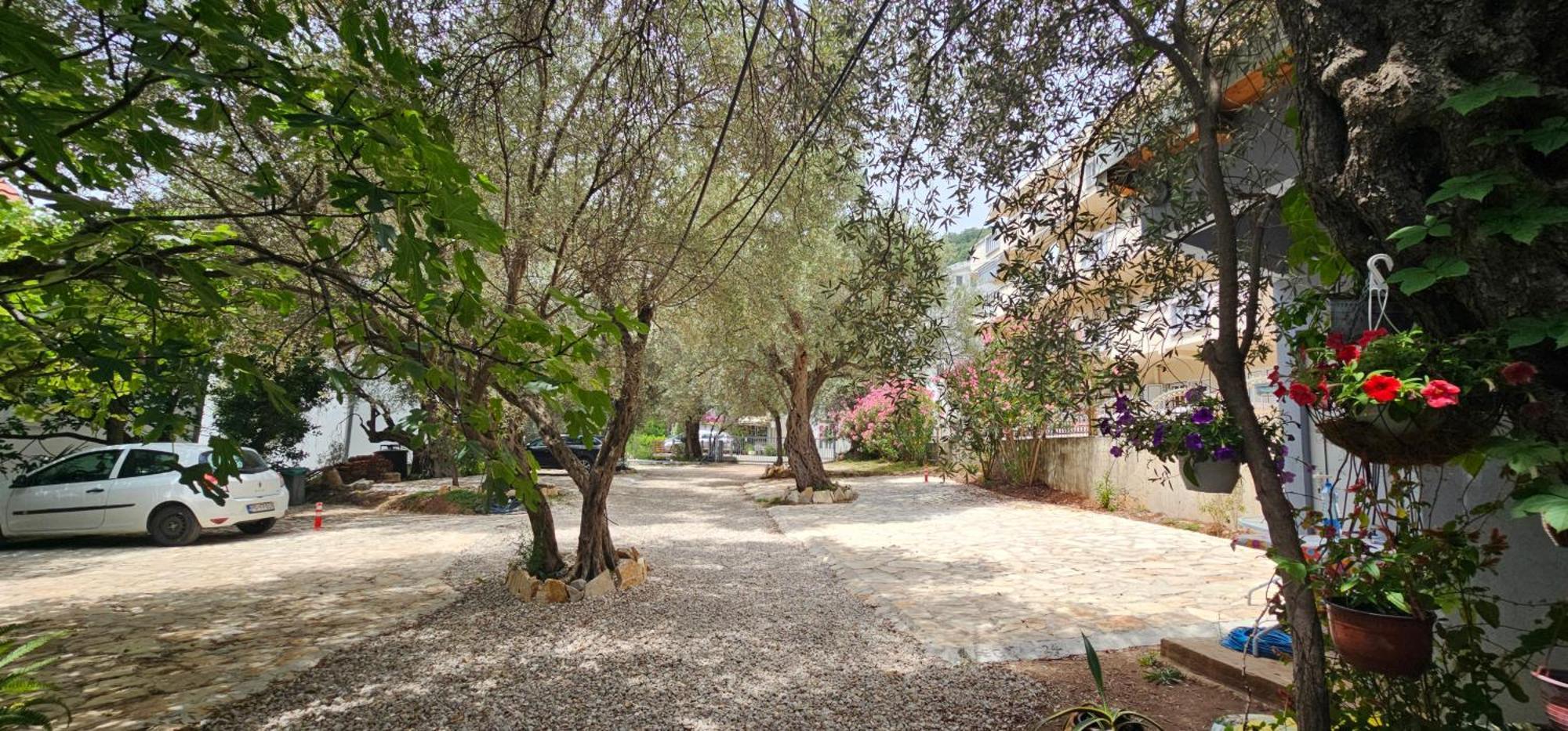 Medin Apartments Bluvista Petrovac ภายนอก รูปภาพ